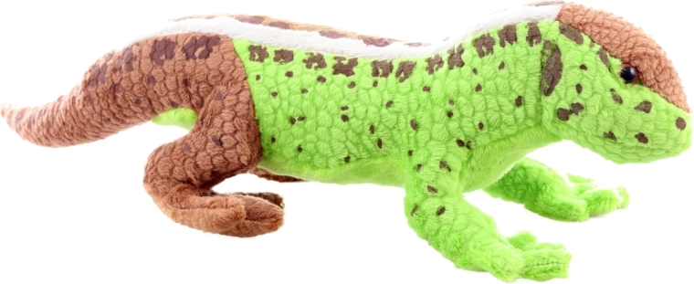 Realistic look that sparks imagination