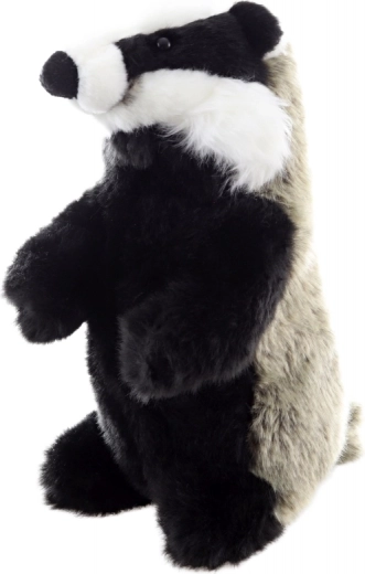 Licht en ideale afmeting