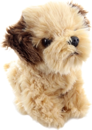 Realistic Shih‑tzu details