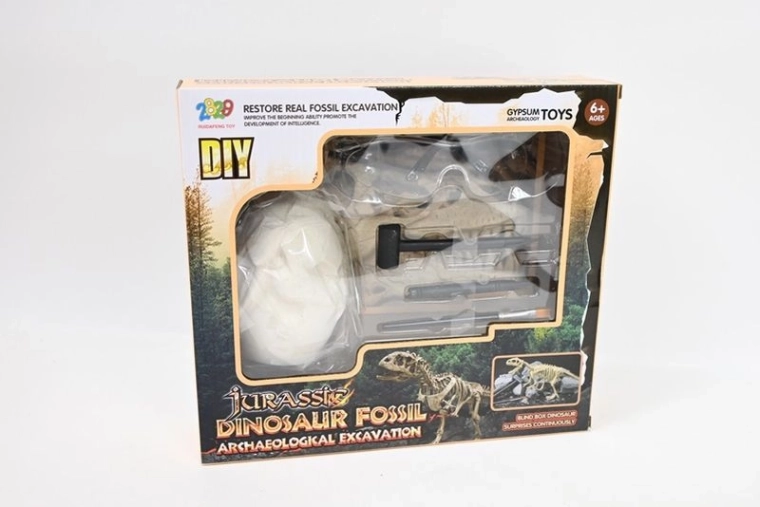Kit archéologique Fossile – fouilles de fossile