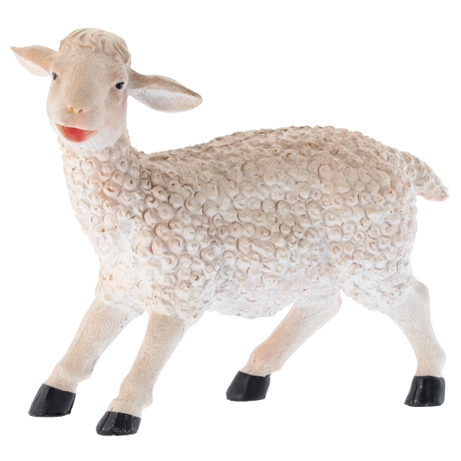 Versatile use for decor and education