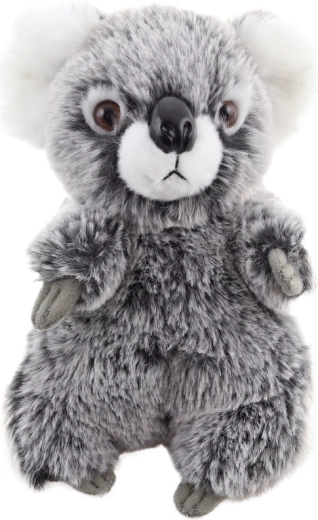 Sicher ab Geburt (0+)