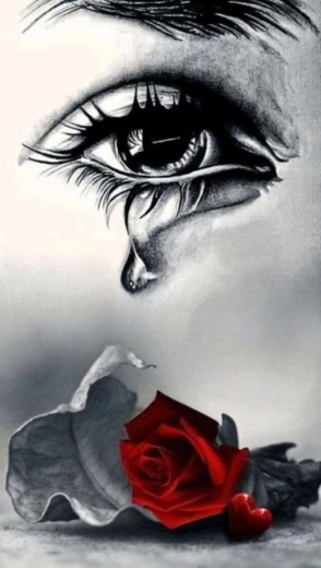 Diamond painting Cry over the Rose 30 × 40 cm