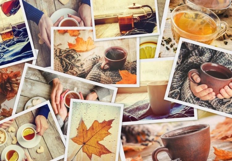 Puzzle GRAFIKA Profitez-en 1000 pièces