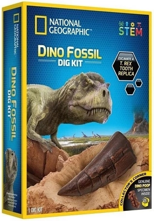 Fouilles de dinosaures National Geographic