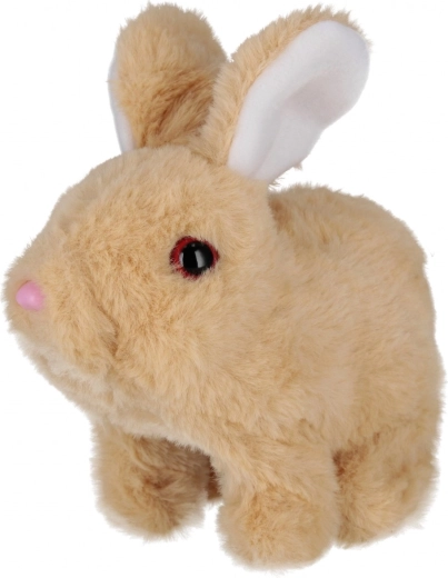 Schattige bewegingen en geluiden