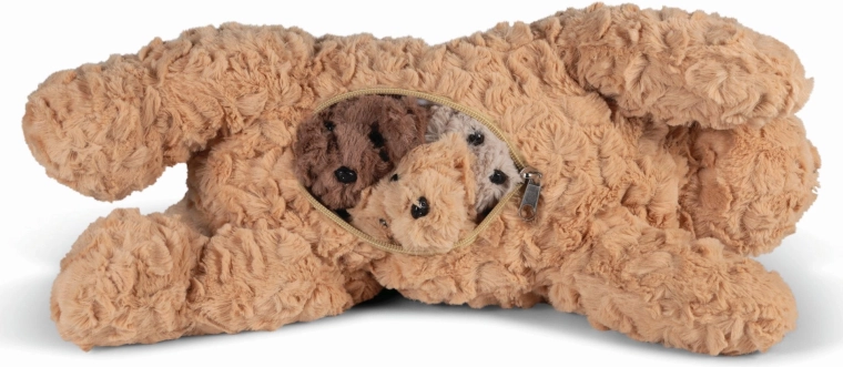 Puppies safely tucked away in the tummy