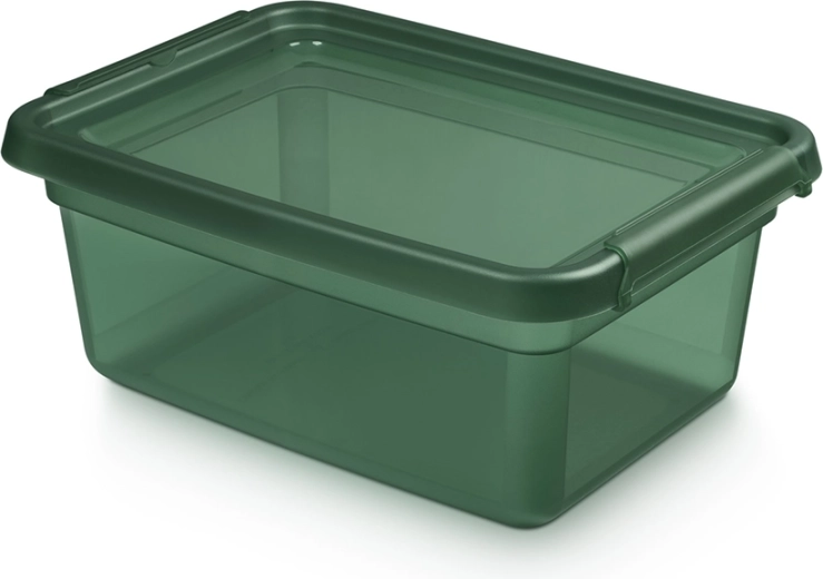 Basestore storage plastic box with lid and clips, pine, 12.5 l