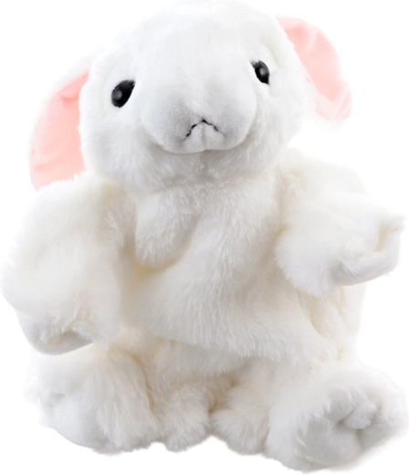 Interactieve handpop voor de ontwikkeling van de fantasie