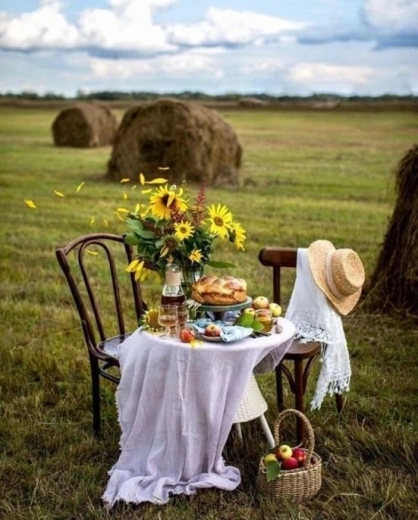 Diamond painting Breakfast in the Field 30 × 40 cm