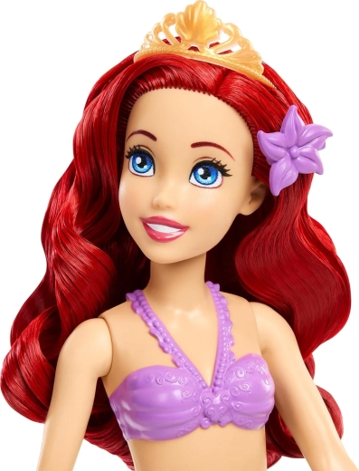 Ariel avec des détails typiques et de magnifiques cheveux