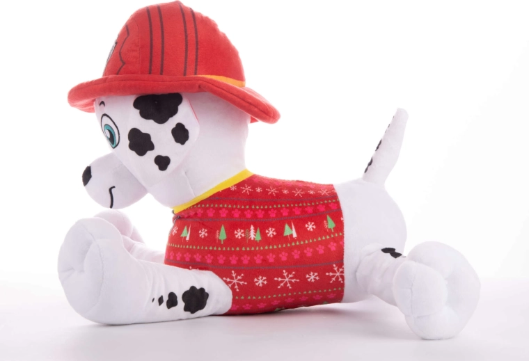 Feestelijke look met trui en helm