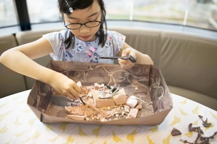 Real excavation experience at home