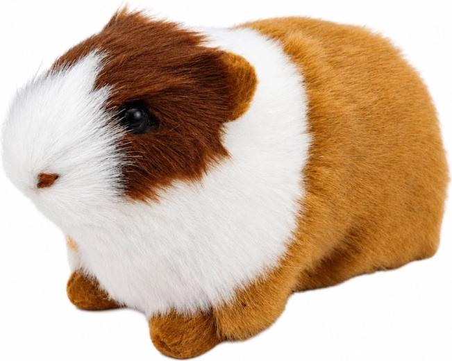 Soft fur like a real guinea pig