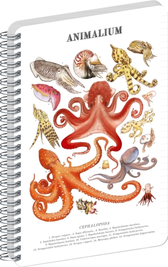 Bloc-notes spirale Notique Animalium – céphalopodes, ligné, A5