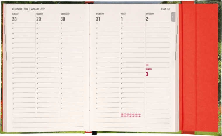 Week over twee pagina’s met kolomindeling