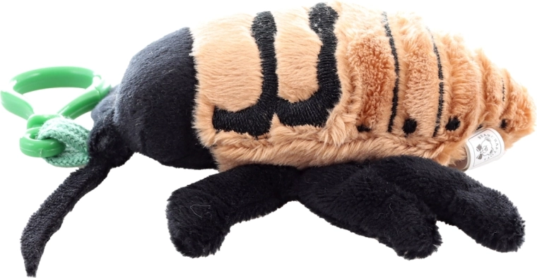 Compact formaat voor onderweg