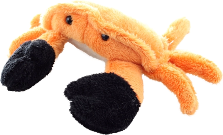 Schattig design met opvallende scharen