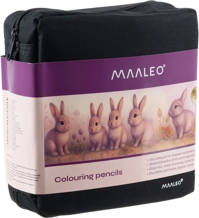 Elegante, georganiseerde etui met rits