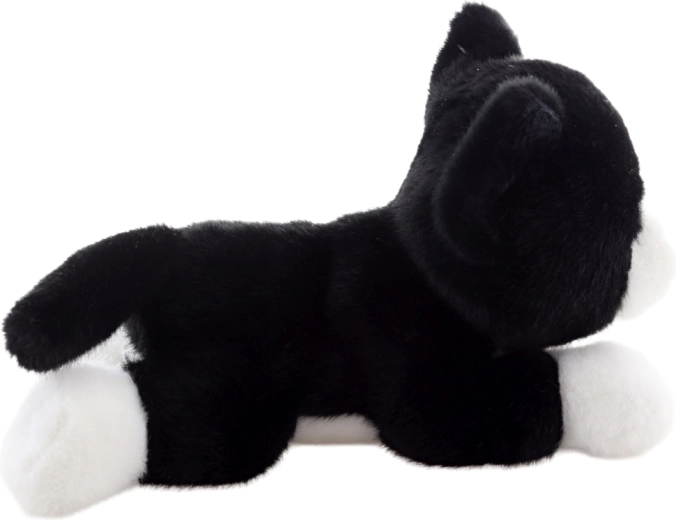 Lightweight and travel-friendly