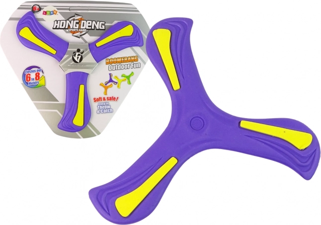 Purple Flying Boomerang Disc for Kids