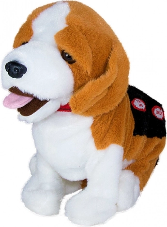 Supports skill development