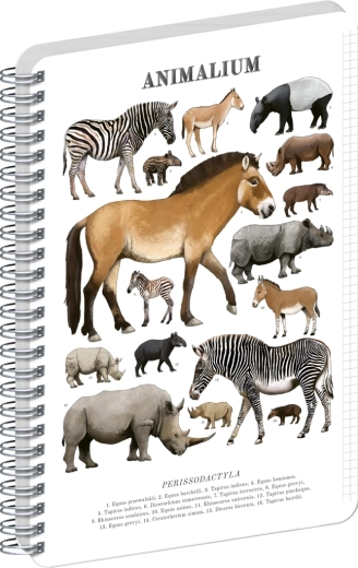 Bloc-notes spiralé Notique Animalium – ongulés à doigts impairs, A5, quadrillé
