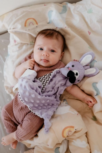 Soothing minky with 3D dots