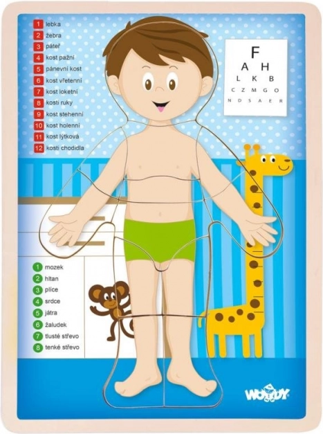 Puzzle réversible Woody Le corps humain - garçon