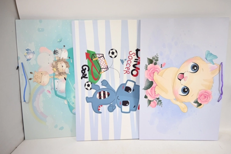 Presentation gift bag 60 × 40 × 25 cm