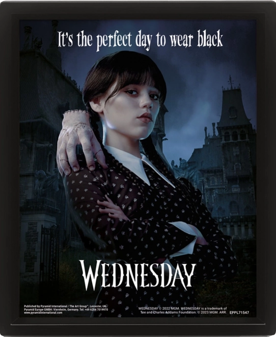 3D schilderij Wednesday