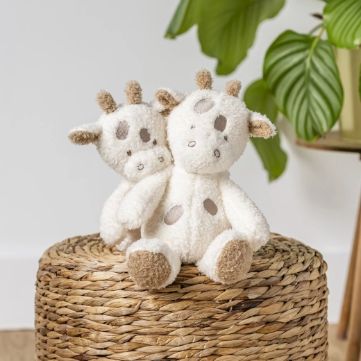 Veilig vanaf de geboorte