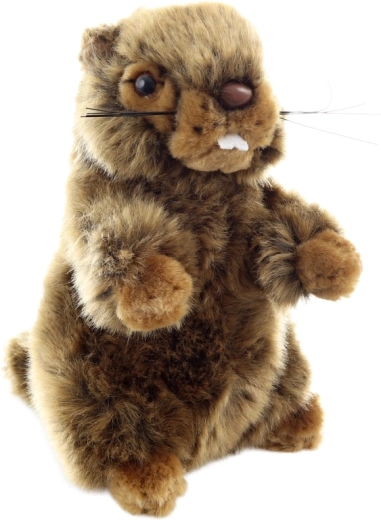 Veilig vanaf de geboorte