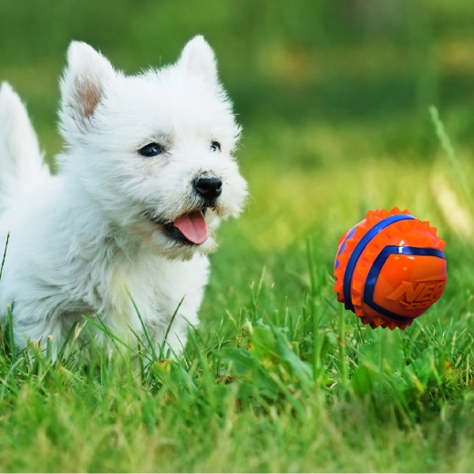 High visibility during outdoor play