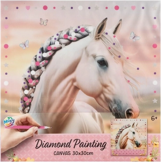 Moxy diamant schilderen op canvas – paarden collectie 30 × 30 cm