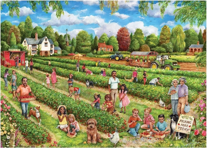 Puzzle Falcon Récolte de fraises 1000 pièces