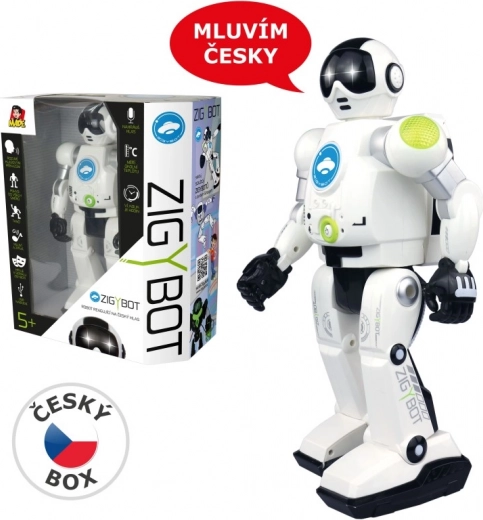 Interactive robot Zigy black