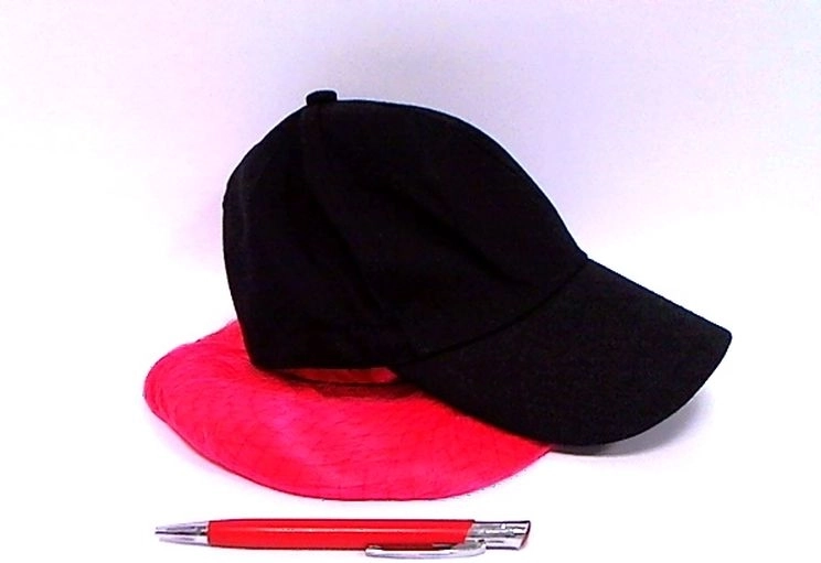 Wig with an integrated cap