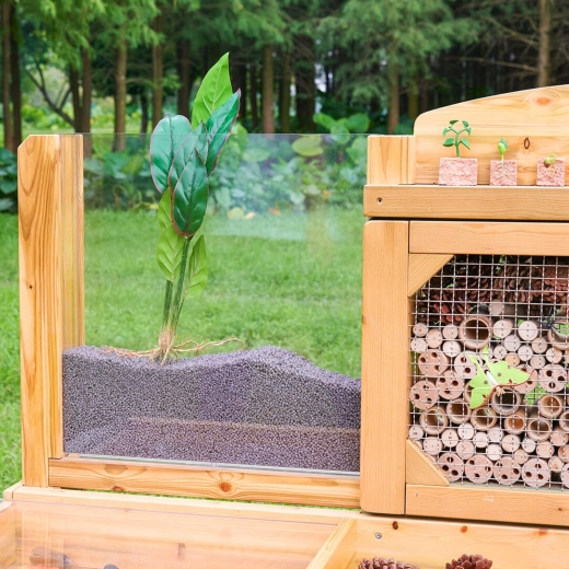 Root panel: watch plant growth in real time