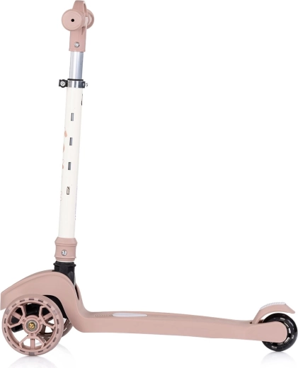 Stable three-wheel construction for easy learning