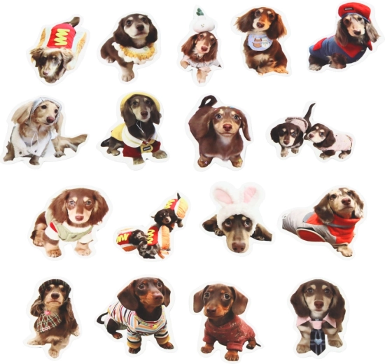 Ideal 5 cm size for decorating