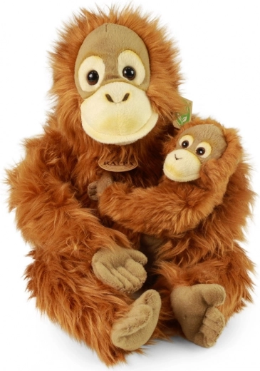 Realistic and soft design