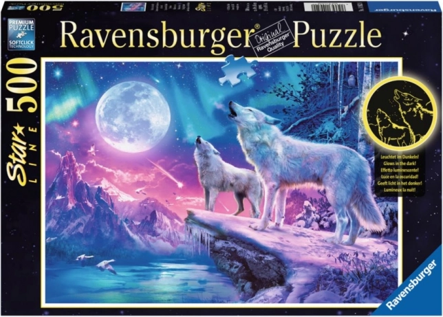 Ravensburger puzzel poollicht 1000 stukjes