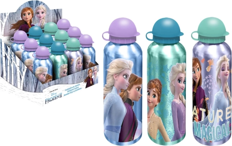 Frozen Aluminum Drinking Bottle