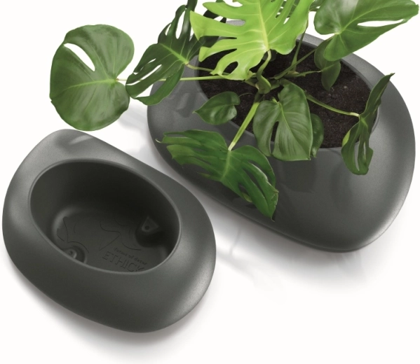 Resistance to UV radiation and frost