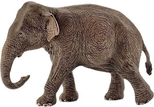 Schleich femelle éléphant d’Asie 14753