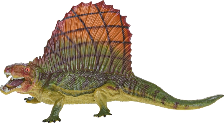 Espèces emblématiques pour un apprentissage ludique