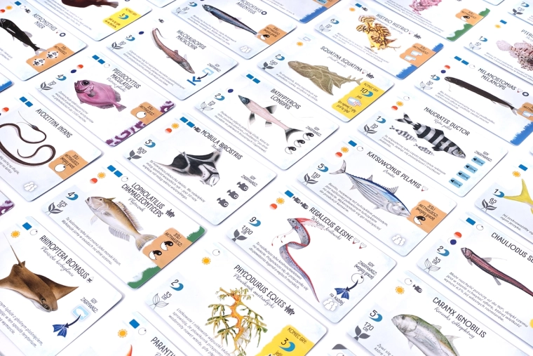 Sea-creature cards with clear icons
