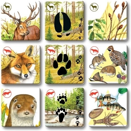 Duurzame kaartjes voor vaak spelen