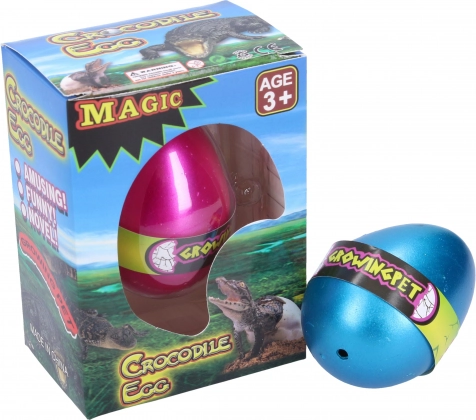 Growing crocodile egg 6.5 cm